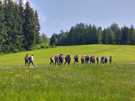 Diözese Linz: Neues Pilgerangebot in Schärding