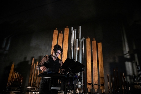 Organism: In Turbulence, Navid Navab
