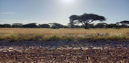 Ausgetrocknete Landschaft in Kenia