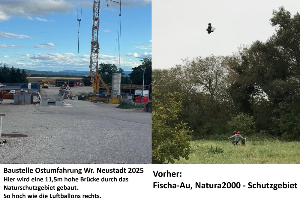 Vergleichsbild: links die Baustelle der Ostumfahrung im Jahr 2025, rechts Fischa-Au Naturschutzgebiet davor