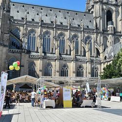 Wir feiern das Leben 2017 | Gottesdienst im Linzer Mariendom