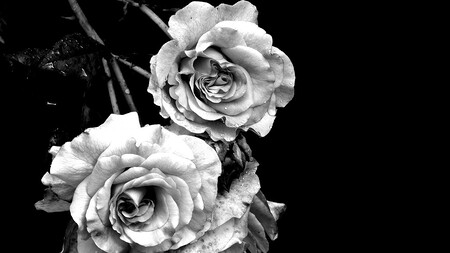 Tabu im Gespräch: Kirchliche Tagungen widmen sich Tod und Trauer